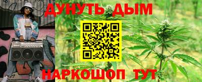 сатива Бузулук