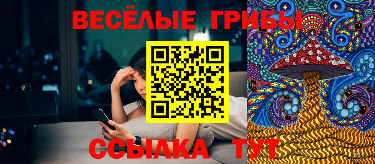 Псилоцибиновые грибы Psilocybine cubensis  Псилоцибиновые грибы мухоморы  Маркс  Вход с VPN 